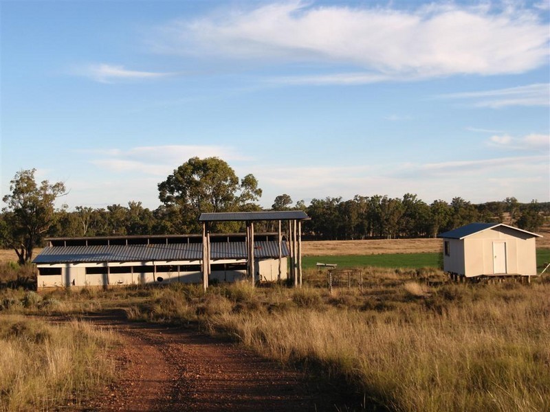Texas NSW 4385
