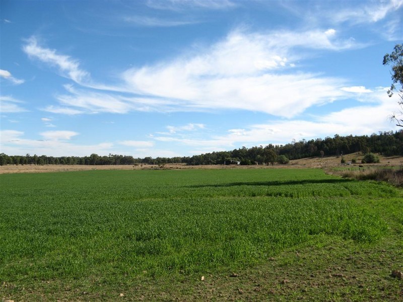 Texas NSW 4385
