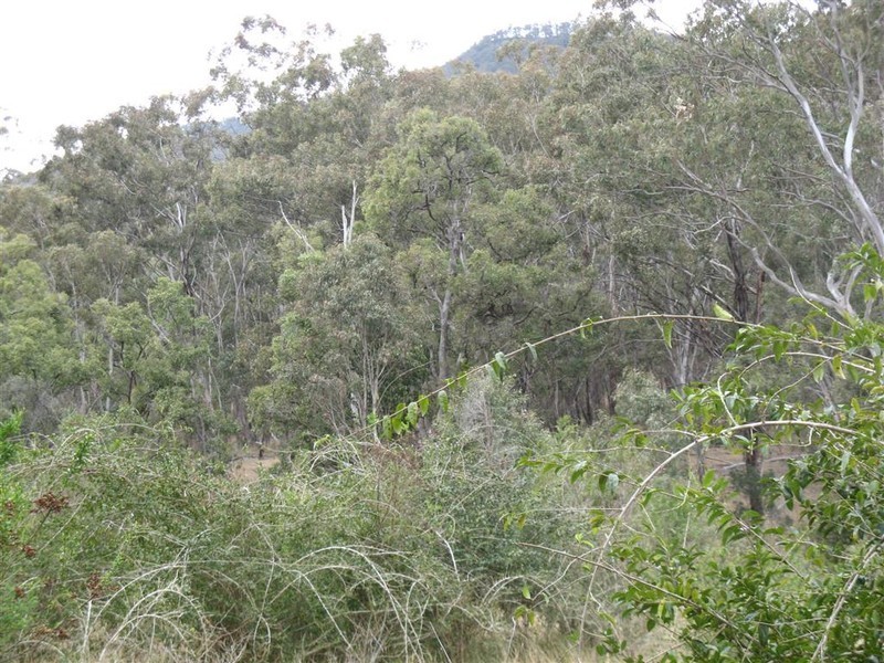 Warwick QLD 4370