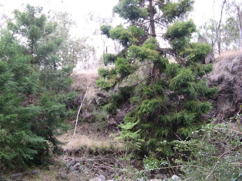 Warwick QLD 4370