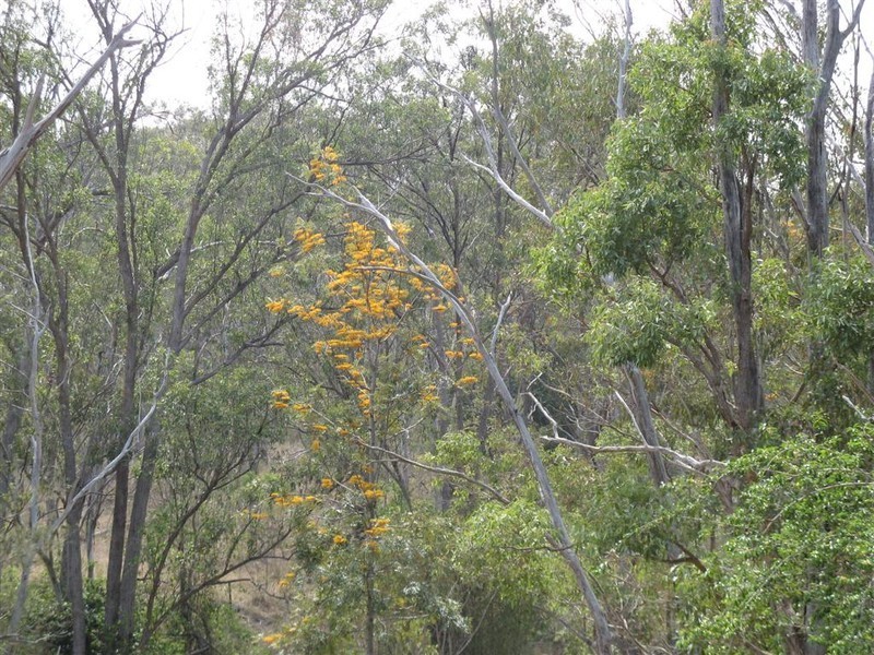 Warwick QLD 4370