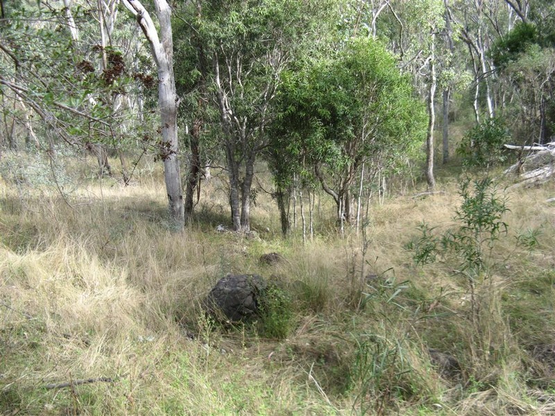 Warwick QLD 4370