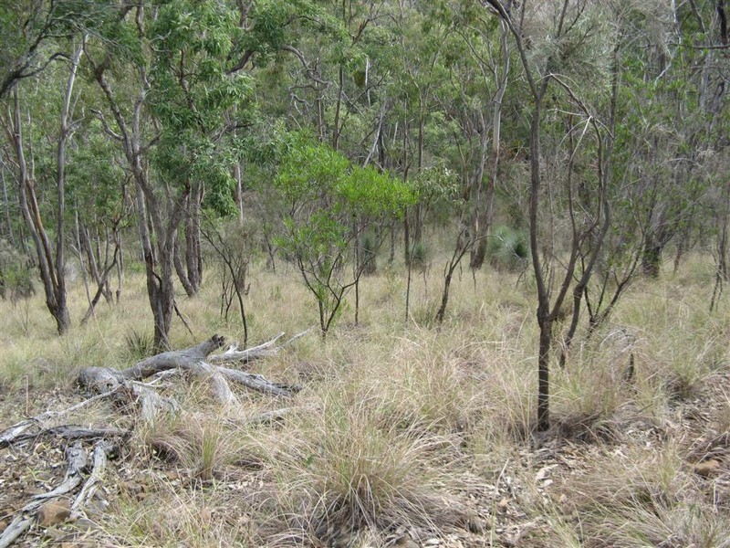 Warwick QLD 4370