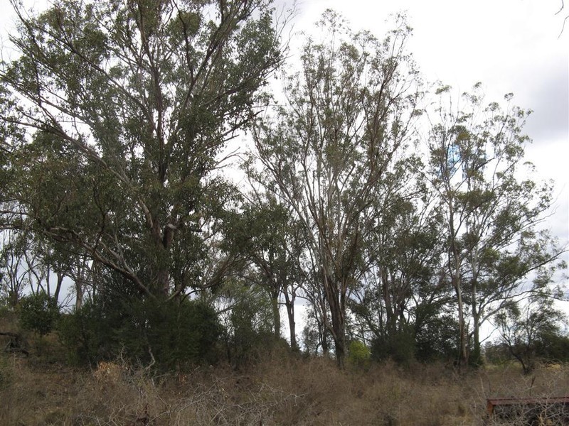 Warwick QLD 4370
