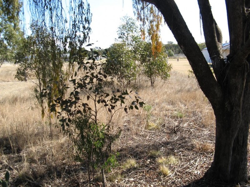 Warwick QLD 4370