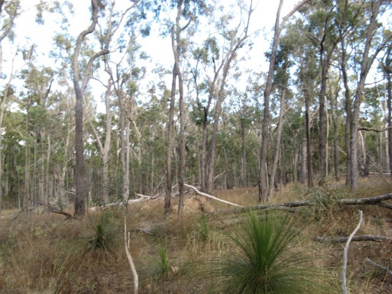 Warwick QLD 4370