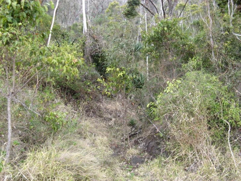 Warwick QLD 4370