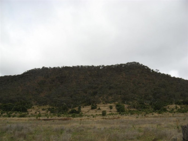 Warwick QLD 4370