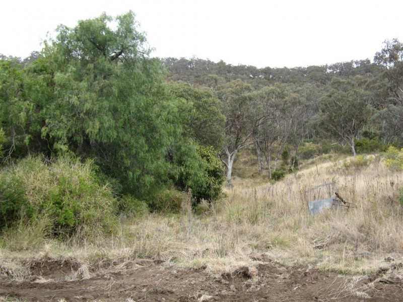 Warwick QLD 4370