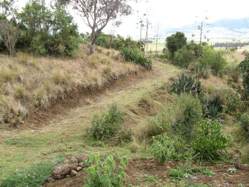 Warwick QLD 4370