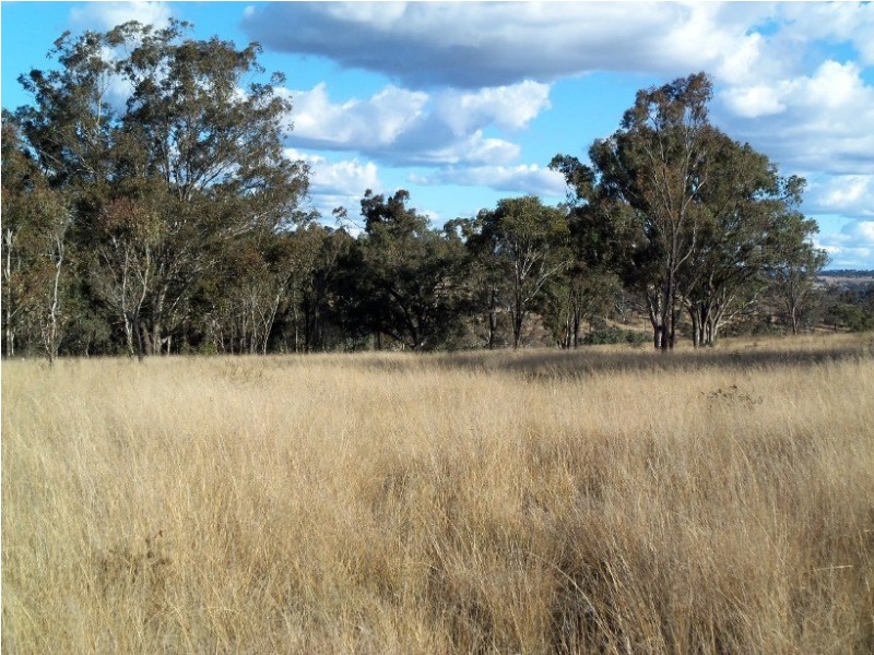 Warwick QLD 4370