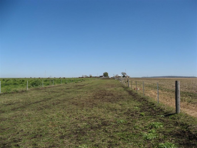 Clifton QLD 4361