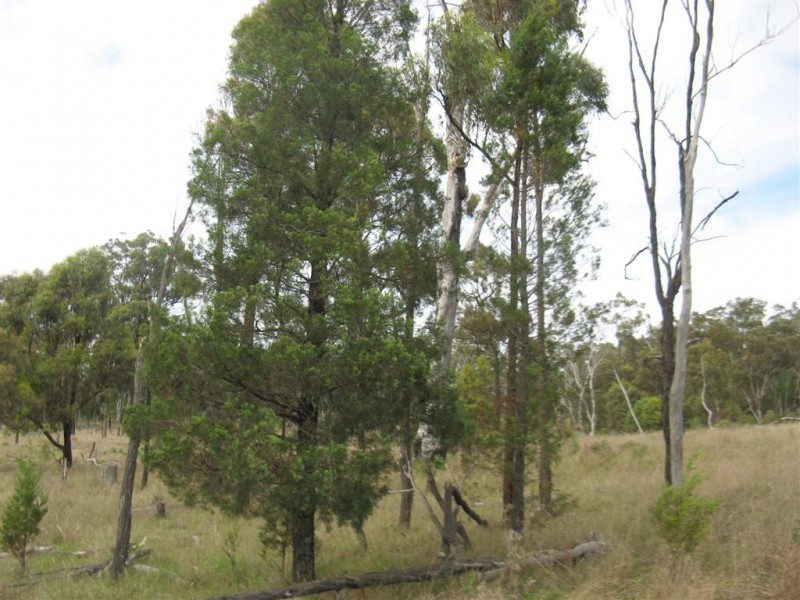 Warwick QLD 4370