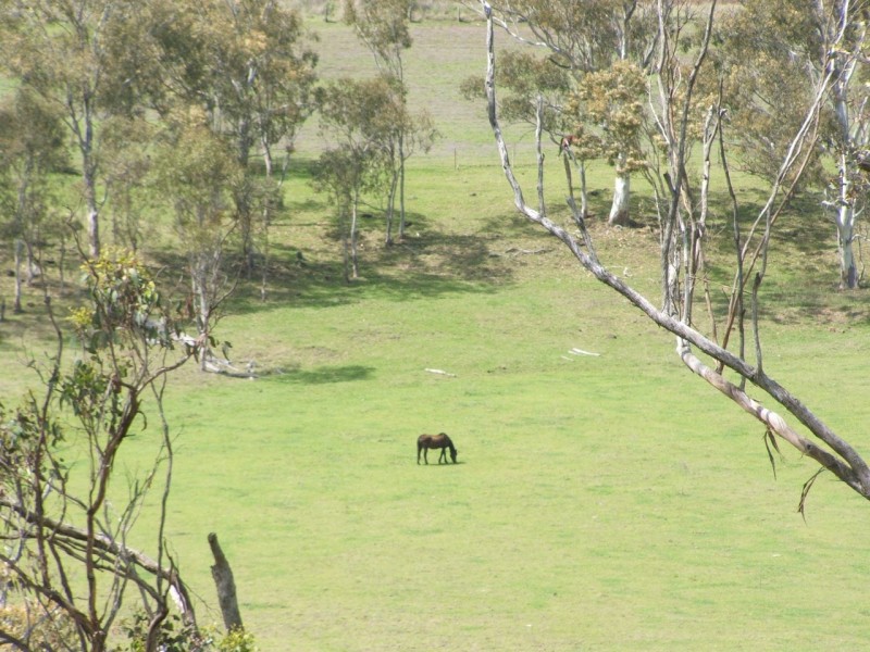 Warwick QLD 4370