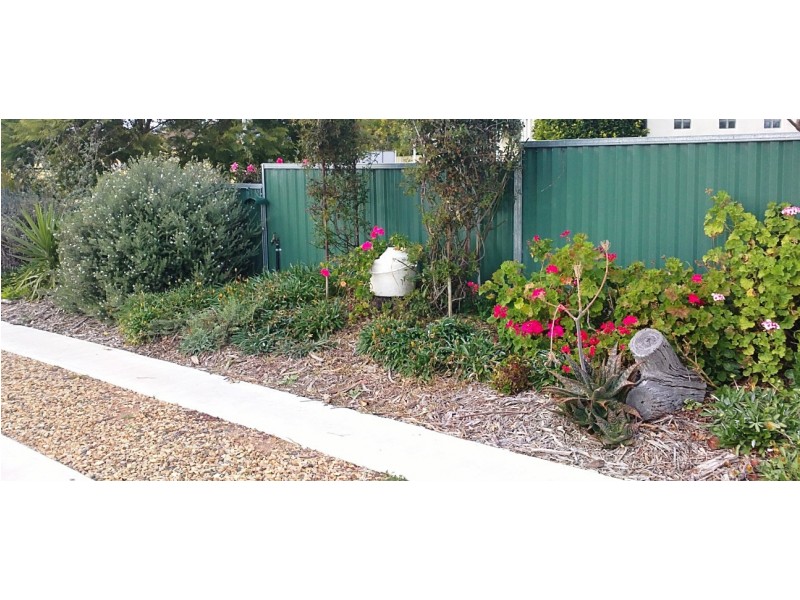 Warwick QLD 4370