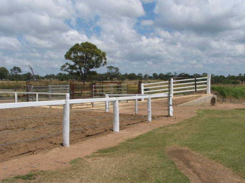 Warwick QLD 4370