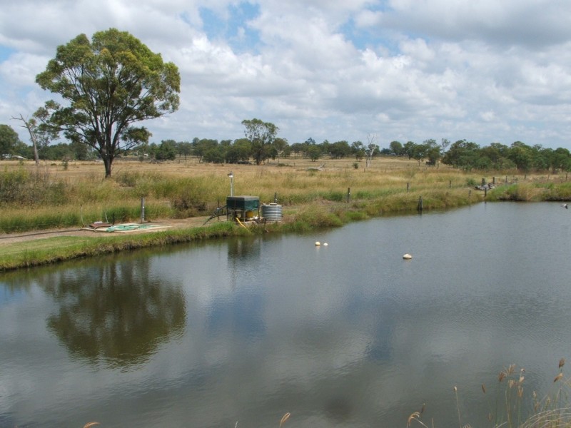 Warwick QLD 4370