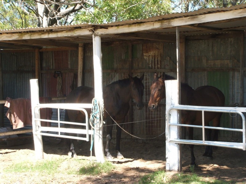 Warwick QLD 4370
