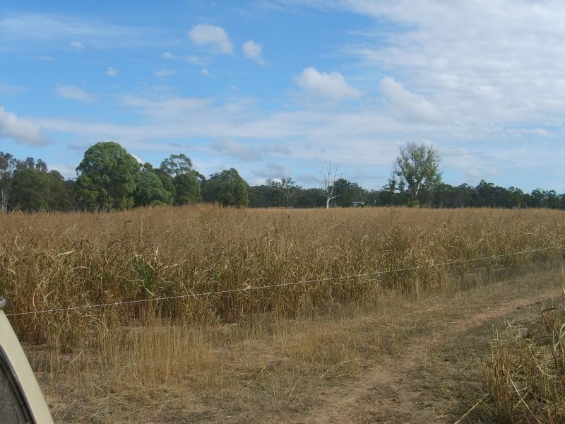Warwick QLD 4370