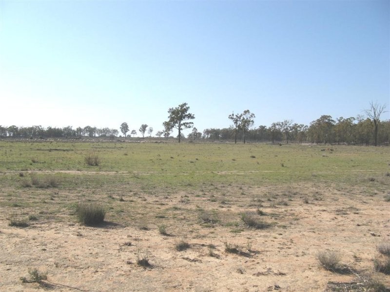 Warwick QLD 4370