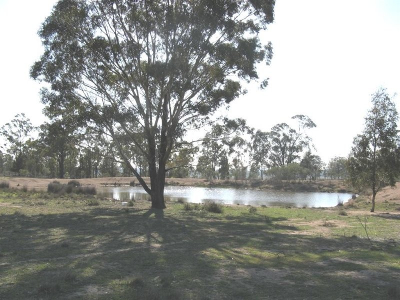 Warwick QLD 4370