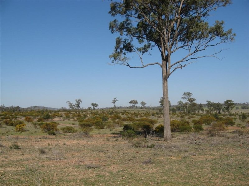 Warwick QLD 4370