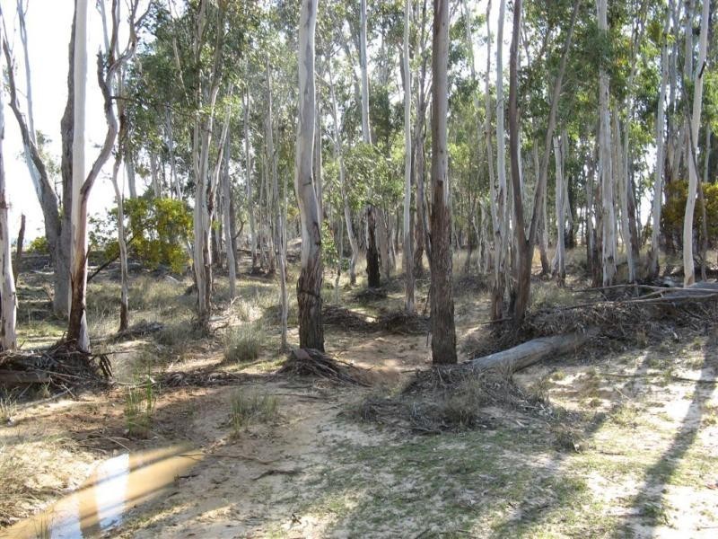 Warwick QLD 4370