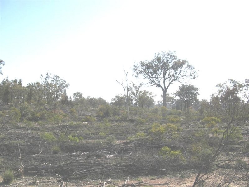 Warwick QLD 4370