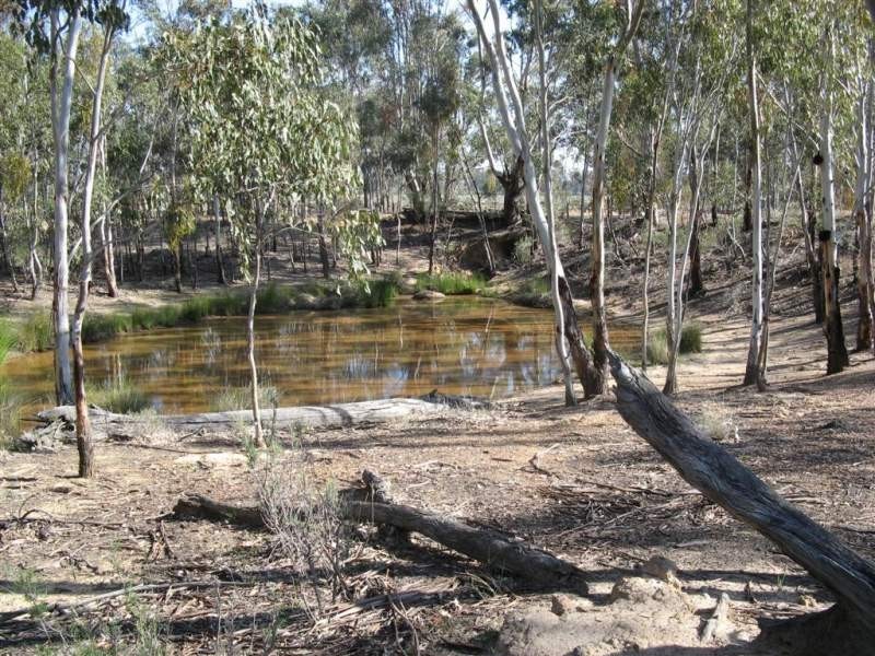 Warwick QLD 4370