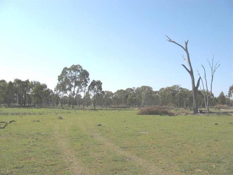 Warwick QLD 4370