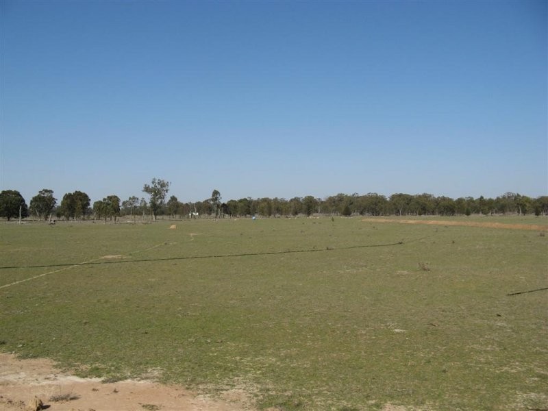 Warwick QLD 4370