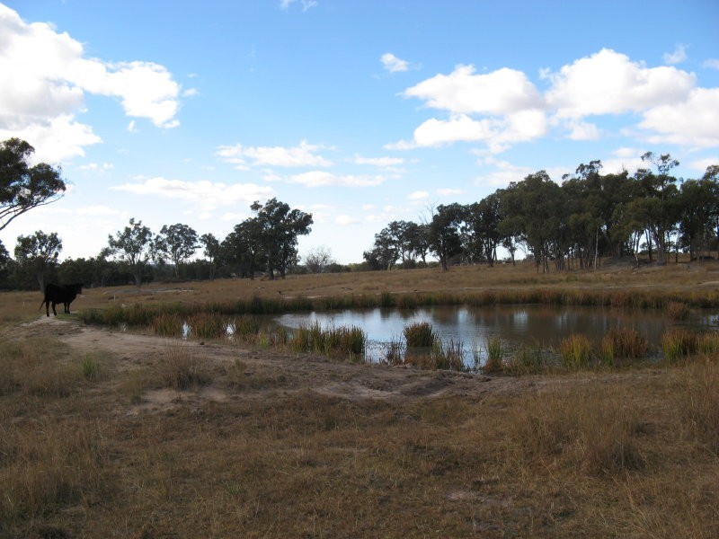 Stanthorpe QLD 4380