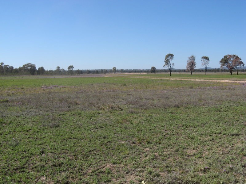 Leyburn QLD 4365