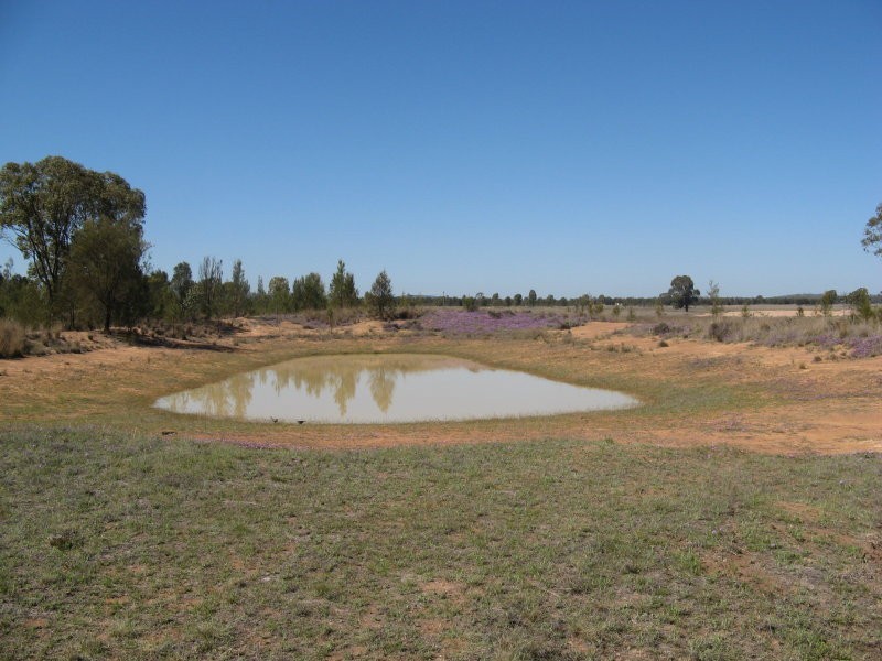 Leyburn QLD 4365