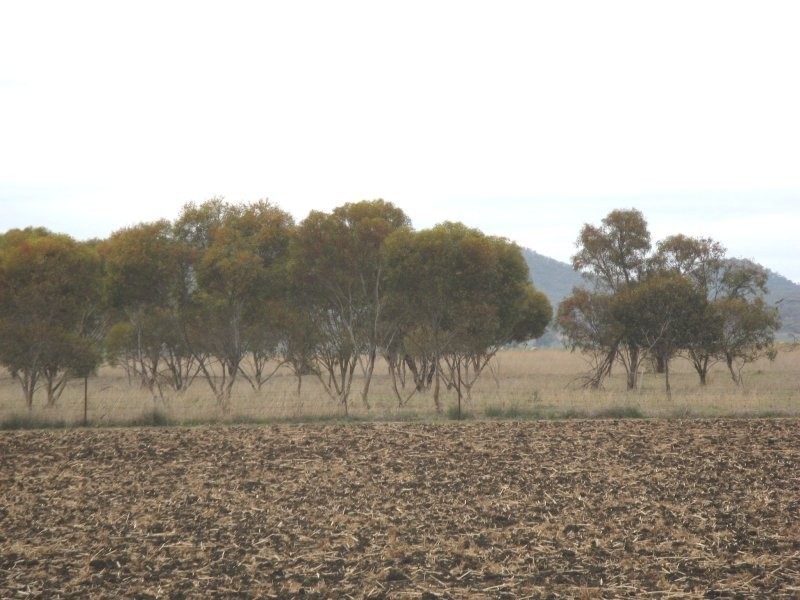 Warwick QLD 4370