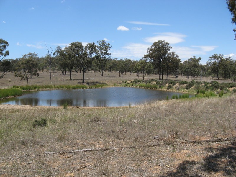 Warwick QLD 4370