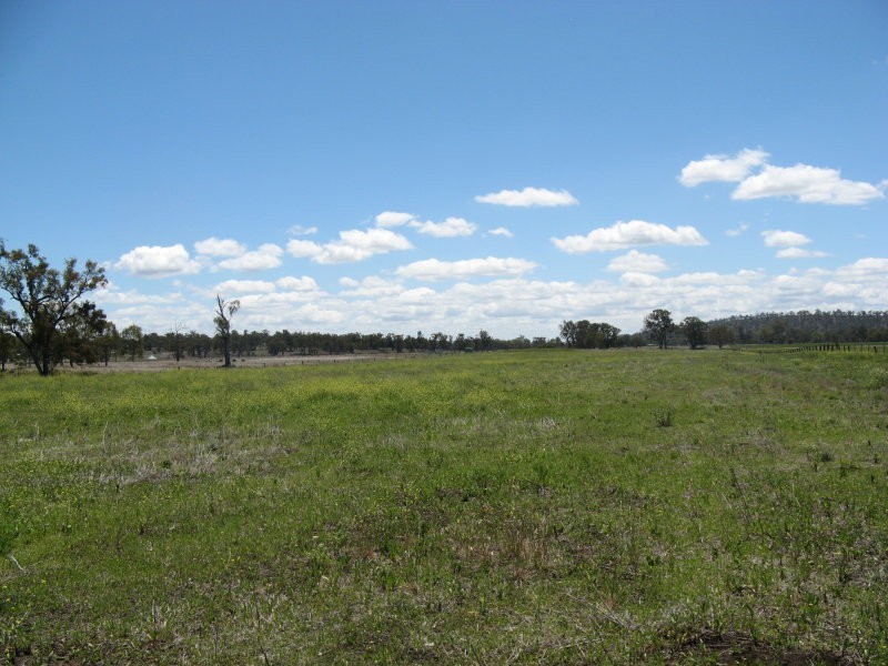 Warwick QLD 4370