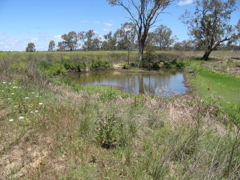 Warwick QLD 4370