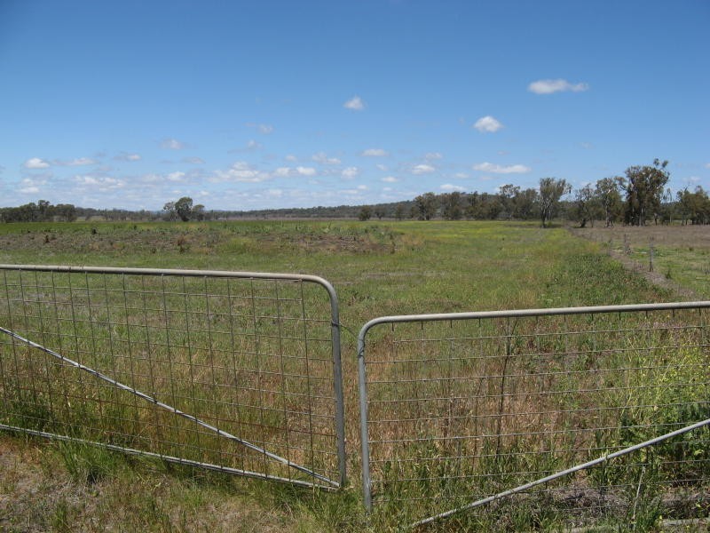 Warwick QLD 4370