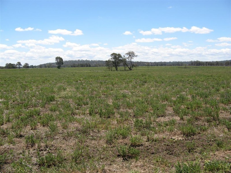 Warwick QLD 4370