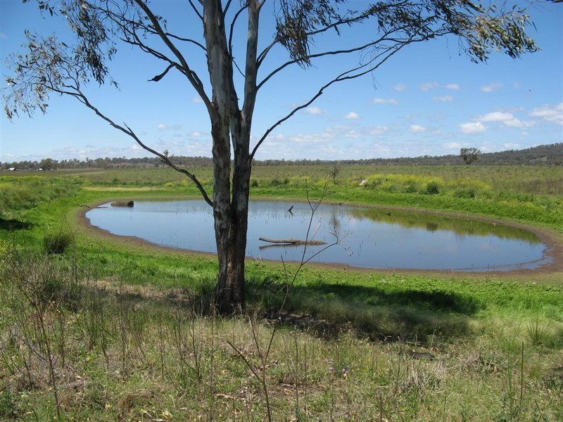 Warwick QLD 4370