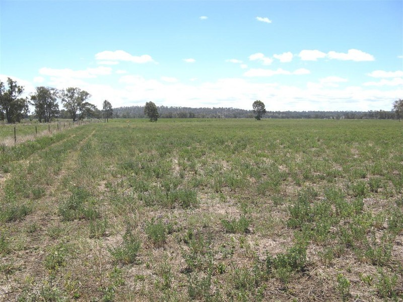 Warwick QLD 4370