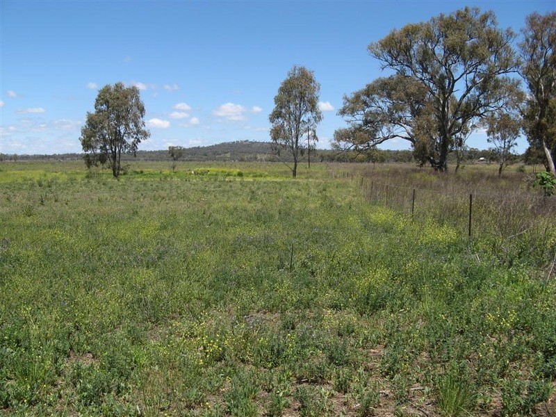 Warwick QLD 4370