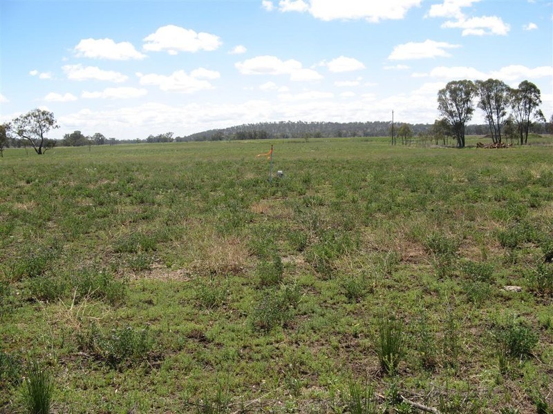 Warwick QLD 4370
