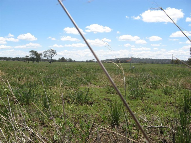 Warwick QLD 4370