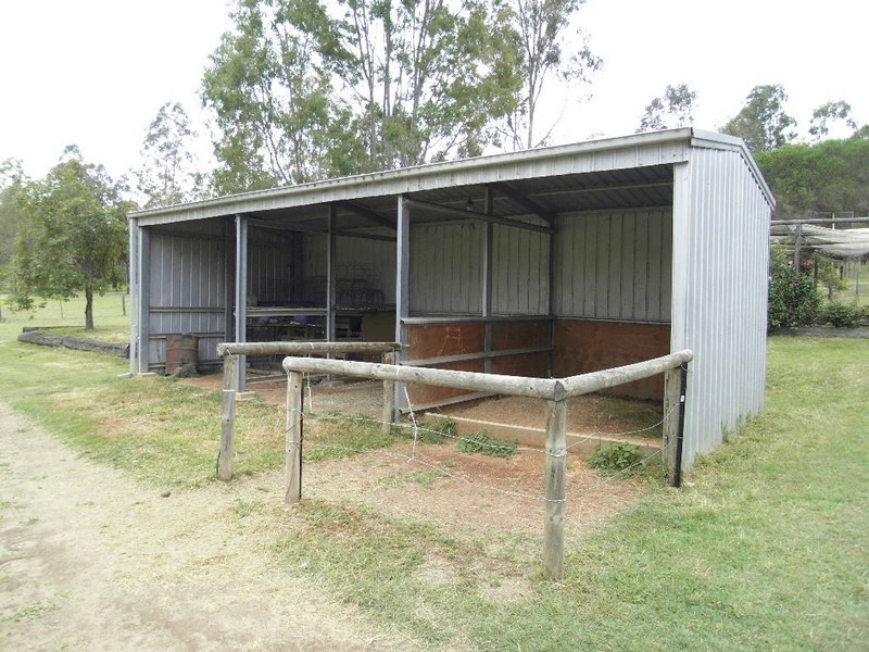 1 Firetail Avenue, Regency Downs QLD 4341