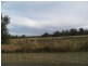 Forest Hill QLD 4342