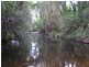 Upper Kandanga QLD 4570