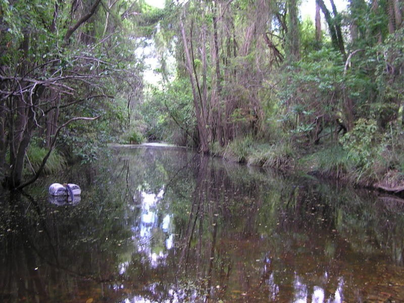 Upper Kandanga QLD 4570