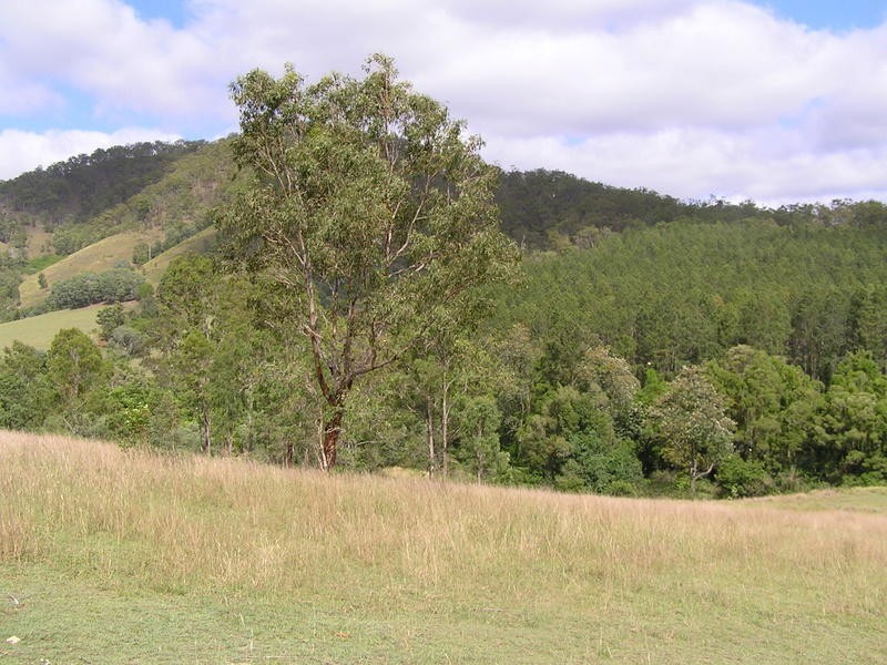 Upper Kandanga QLD 4570